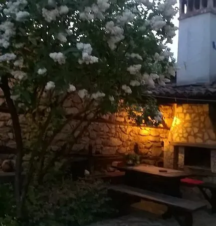 Bonchova House
